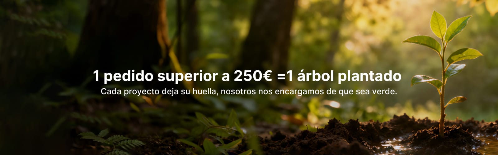 Bosque Truyol