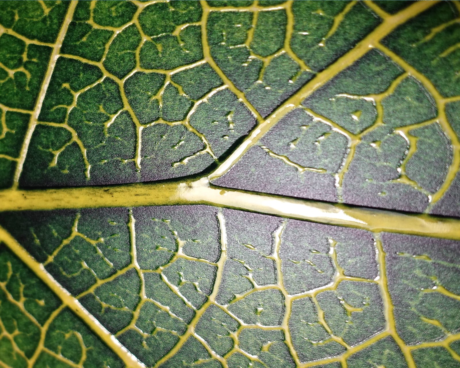 Texturas gran formato 1