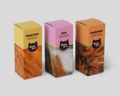 Cajas Estándar Basics